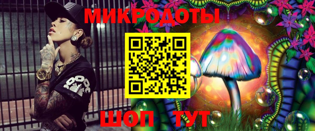 Богданович  Галлюциногенные грибы прущие грибы  Вход с VPN  Галлюциногенные грибы GOLDEN TEACHER 